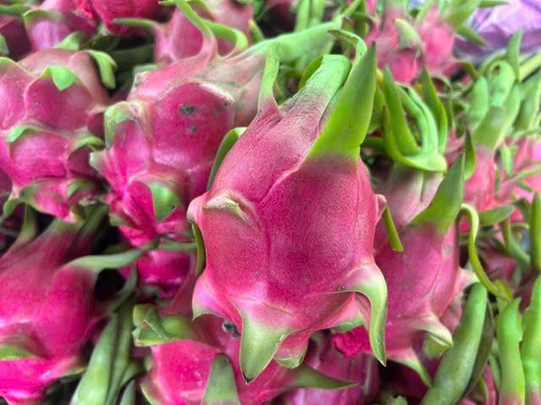 Белая Питахайя