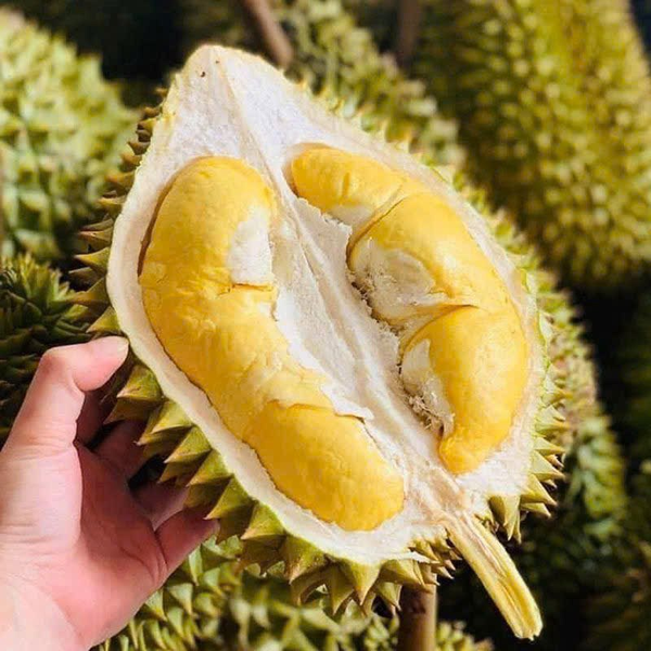 durian