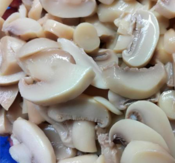 +MUSHROOMS🍄‍🟫