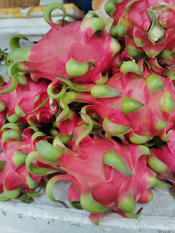 Красная Питахайя