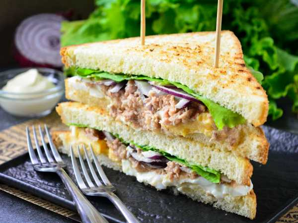 Tuna sandwich