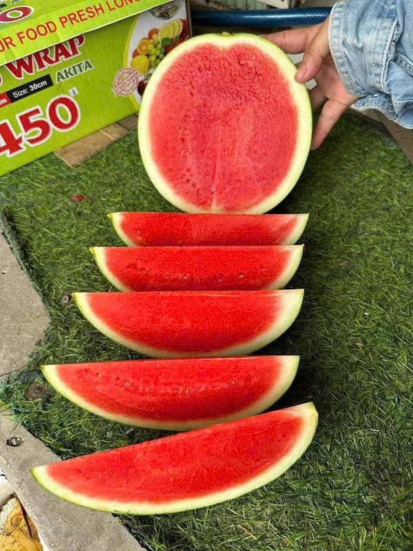 watermelon